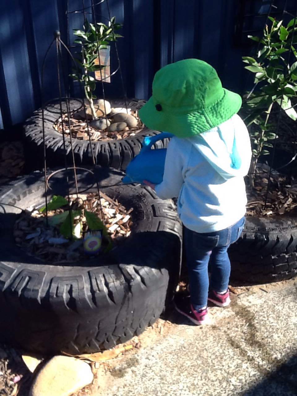 Child watering and caring for plants at Lakeview Preschool